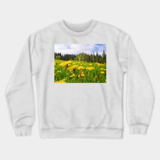 dandelion meadow Crewneck Sweatshirt